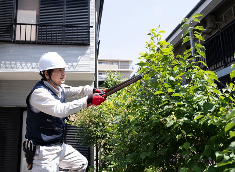 お庭・植栽のお手入れ